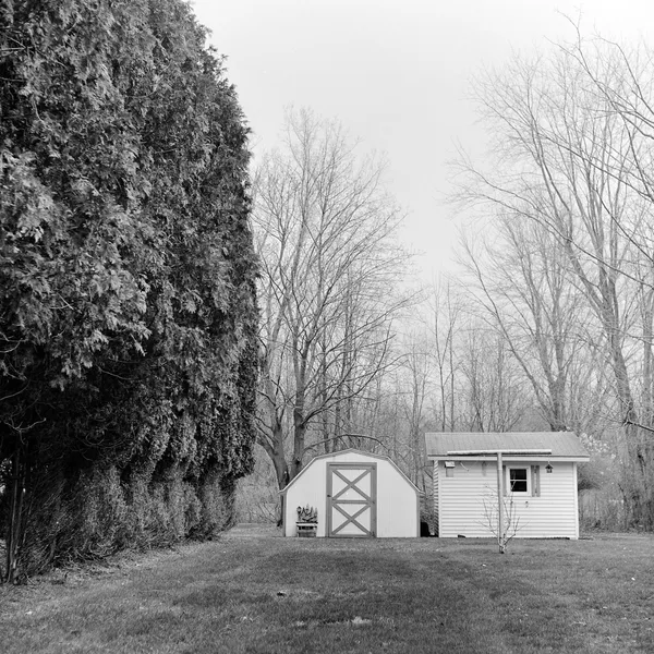 Roll 010 (Yashica-Mat LM)